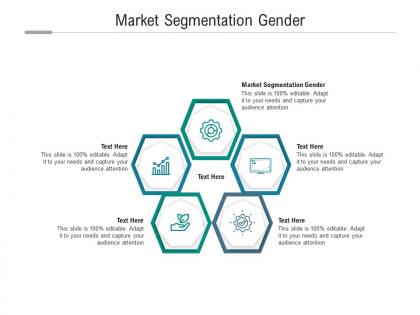Market segmentation gender ppt powerpoint presentation icon slide cpb