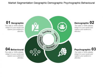 Market segmentation geographic demographic psychographic behavioural