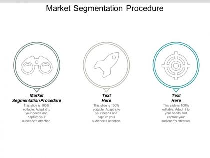 Market segmentation procedure ppt powerpoint presentation gallery icon cpb