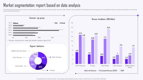 Market Segmentation Report Based On Data Analysis Guide To Market Intelligence Tools MKT SS V