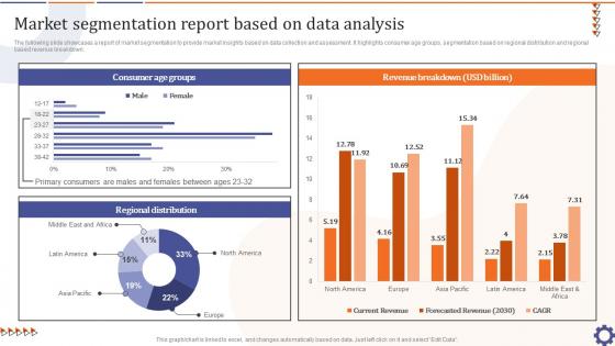 Market Segmentation Report Based On Data Guide For Data Collection Analysis MKT SS V