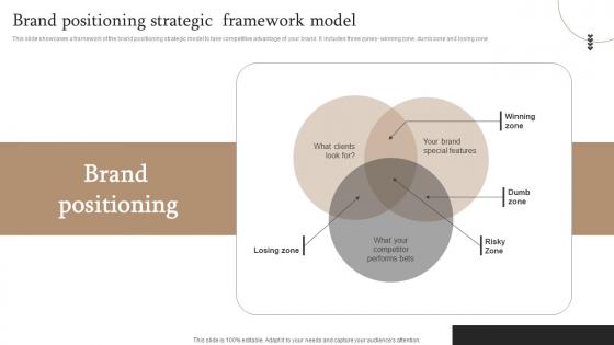 Market Segmentation Strategy Brand Positioning Strategic Framework Model MKT SS V