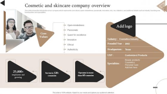 Market Segmentation Strategy Cosmetic And Skincare Company Overview MKT SS V