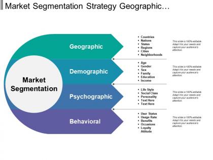 Market segmentation strategy geographic demographic psychographic behavioral