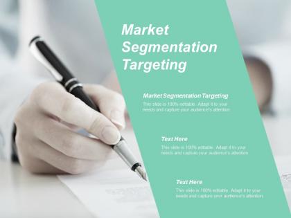 Market segmentation targeting ppt powerpoint presentation gallery example cpb