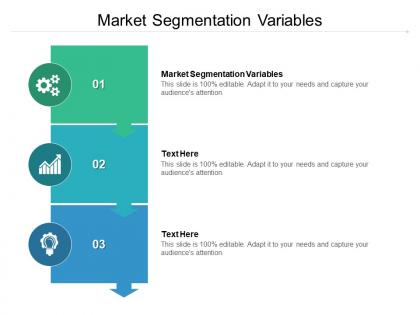 Market segmentation variables ppt powerpoint presentation infographic cpb