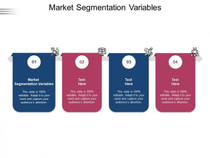 Market segmentation variables ppt powerpoint presentation show example introduction cpb