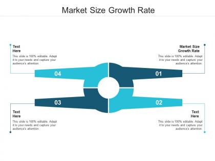 Market size growth rate ppt powerpoint presentation slides portrait cpb