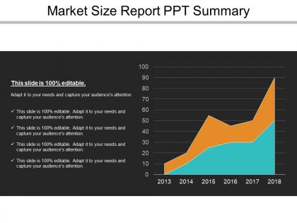 Market size report ppt summary