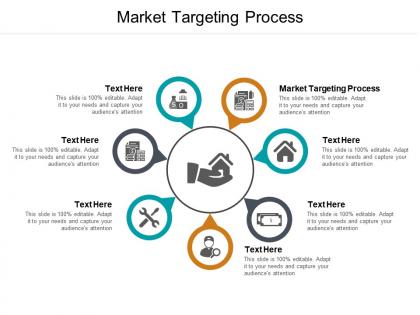 Market targeting process ppt powerpoint presentation portfolio model cpb