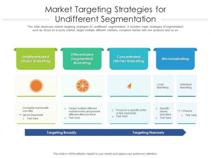 Market targeting strategies for undifffrent segmentation