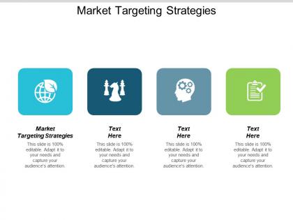 Market targeting strategies ppt powerpoint presentation ideas format cpb