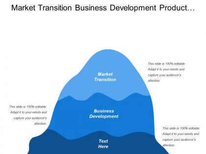 Market transition business development product development marketing strategy