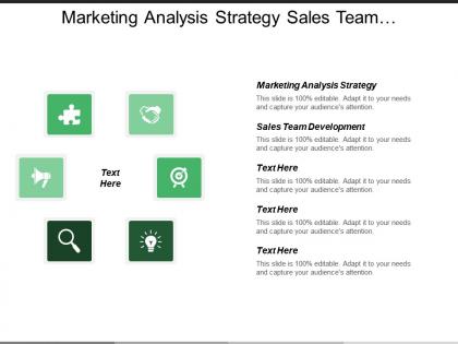 Marketing analysis strategy sales team development organic investment