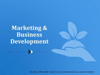Marketing and business development ppt samples