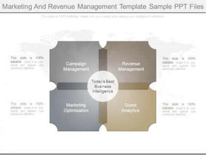 Marketing and revenue management template sample ppt files
