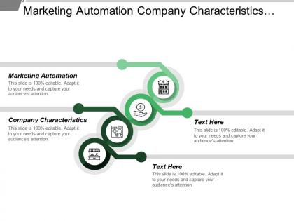 Marketing automation company characteristics size market strategy partners