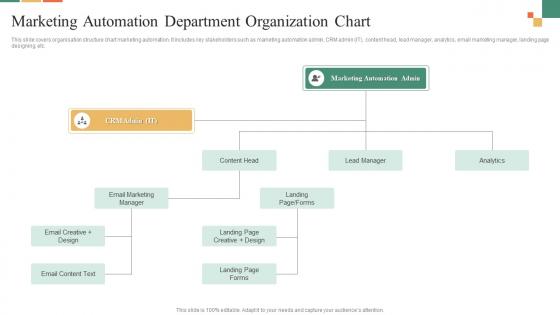 Marketing Automation Department Organization Chart