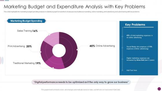 Marketing Budget And Expenditure Analysis With Key Problems Procedure To Perform Digital Marketing Audit