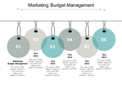 Marketing budget management ppt powerpoint presentation portfolio show cpb