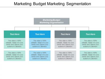 Marketing budget marketing segmentation ppt powerpoint presentation portfolio tips cpb