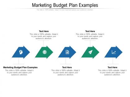 Marketing budget plan examples ppt powerpoint presentation layouts layout cpb