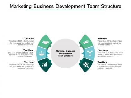 Marketing business development team structure ppt powerpoint file objects cpb