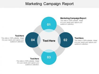 Marketing campaign report ppt powerpoint presentation portfolio tips cpb