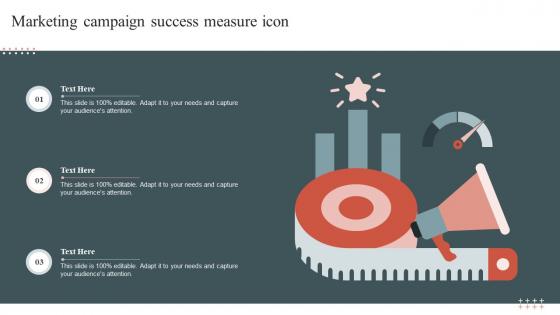 Marketing Campaign Success Measure Icon