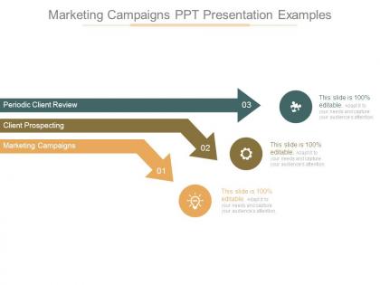 Marketing campaigns ppt presentation examples