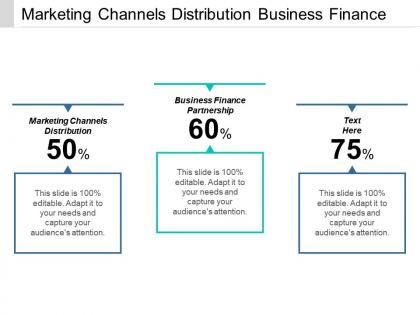 Marketing channels distribution business finance partnership contingency planning cpb