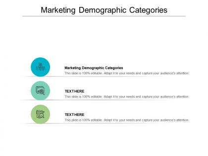 Marketing demographic categories ppt powerpoint presentation model design templates cpb
