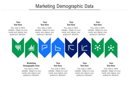 Marketing demographic data ppt powerpoint presentation portfolio slideshow cpb
