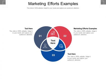 Marketing efforts examples ppt powerpoint presentation inspiration skills cpb