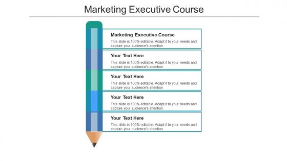 Marketing executive course ppt powerpoint presentation summary gridlines cpb