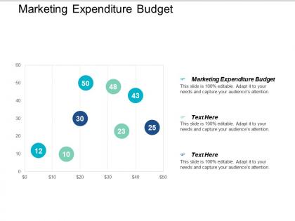 Marketing expenditure budget ppt powerpoint presentation styles maker cpb
