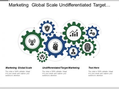 Marketing global scale undifferentiated target marketing distinct market