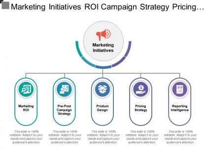 Marketing initiatives roi campaign strategy pricing product reporting