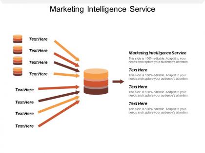 Marketing intelligence service ppt powerpoint presentation portfolio brochure cpb