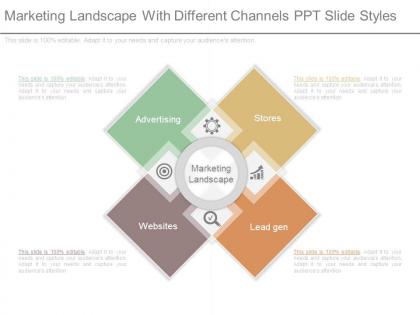 Marketing landscape with different channels ppt slide styles