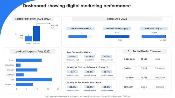 Marketing Leadership To Increase Product Sales Dashboard Showing Digital Marketing Performance