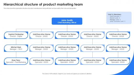Marketing Leadership To Increase Product Sales Hierarchical Structure Of Product Marketing Team