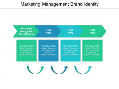Marketing management brand identity ppt powerpoint presentation gallery design ideas cpb