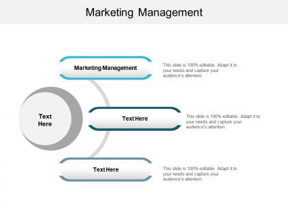 Marketing management ppt powerpoint presentation gallery ideas cpb