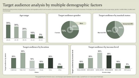 Marketing Mix Communication Guide Target Audience Analysis By Multiple Demographic Factors
