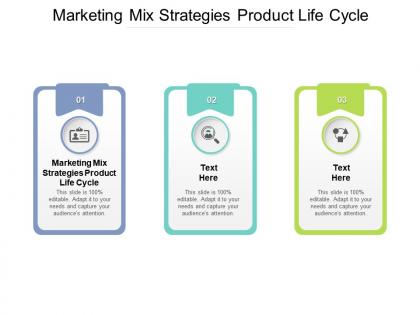 Marketing mix strategies product life cycle ppt powerpoint presentation professional format cpb