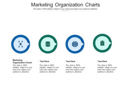 Marketing organization charts ppt powerpoint presentation ideas guidelines cpb