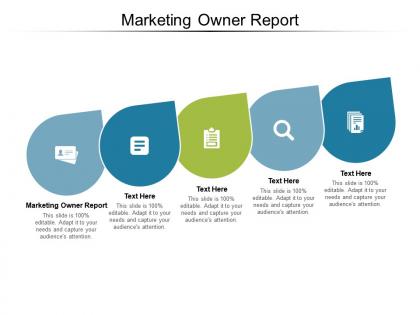 Marketing owner report ppt powerpoint presentation styles icon cpb