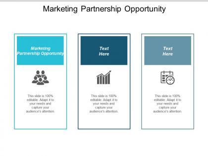 Marketing partnership opportunity ppt powerpoint presentation icon rules cpb