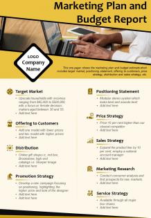 Marketing plan and budget report presentation report infographic ppt pdf document